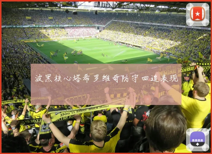 波黑核心塔希罗维奇防守回追表现