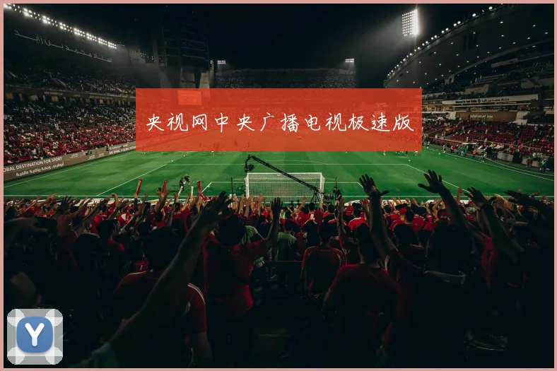 央视网中央广播电视极速版