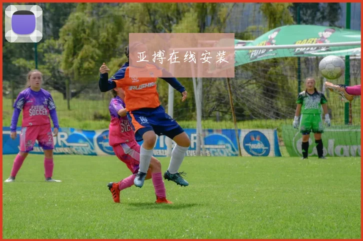亚搏在线安装