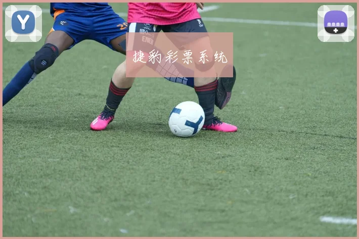 捷豹彩票系统