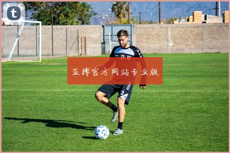 亚搏官方网站专业版