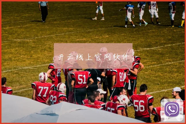 开云线上官网软件