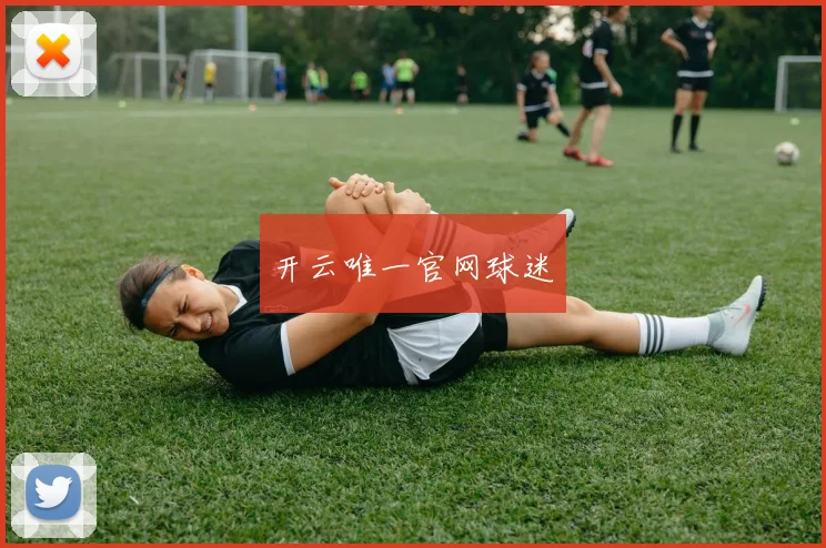 开云唯一官网球迷