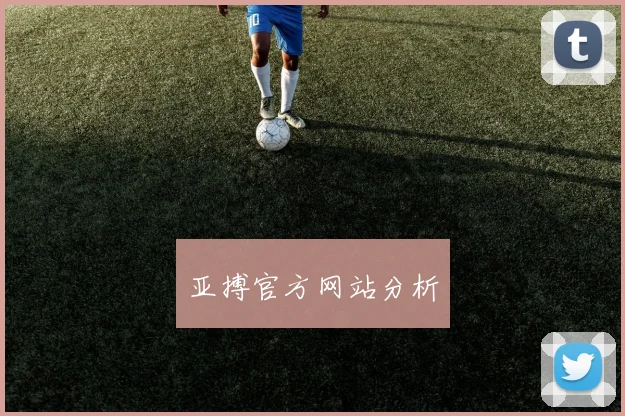亚搏官方网站分析