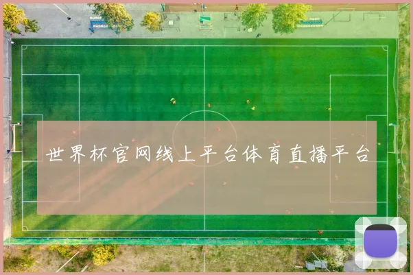 世界杯官网线上平台体育直播平台