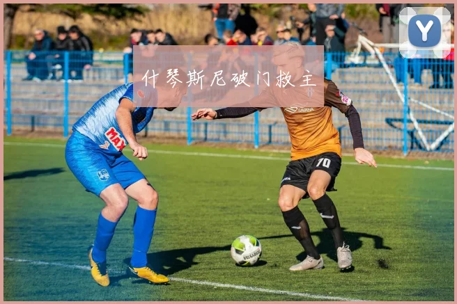 什琴斯尼破门救主