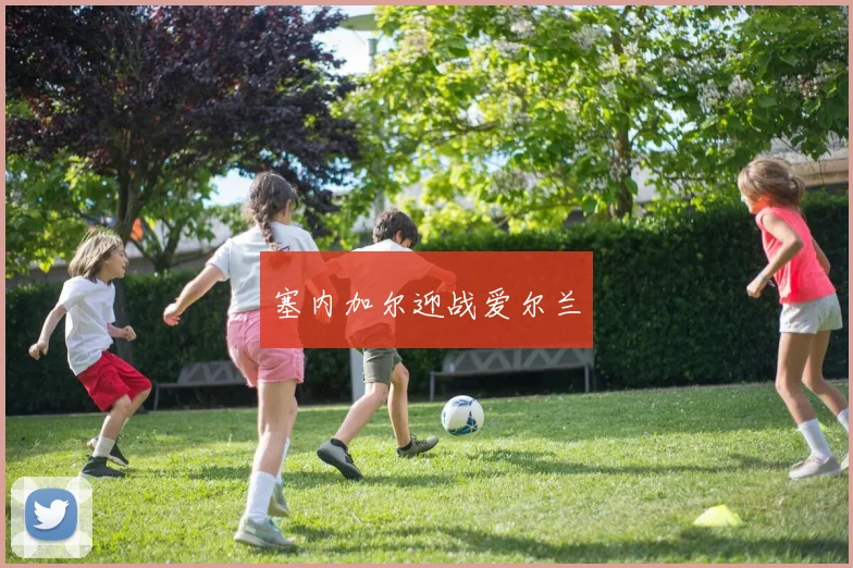塞内加尔迎战爱尔兰