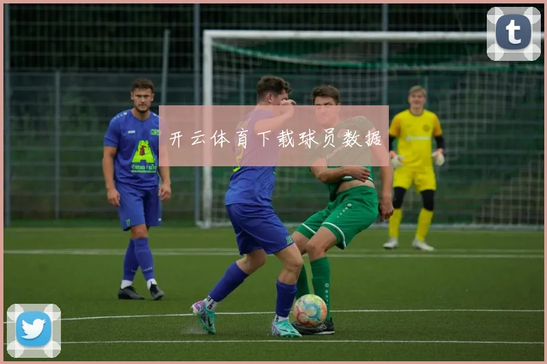 开云体育下载球员数据