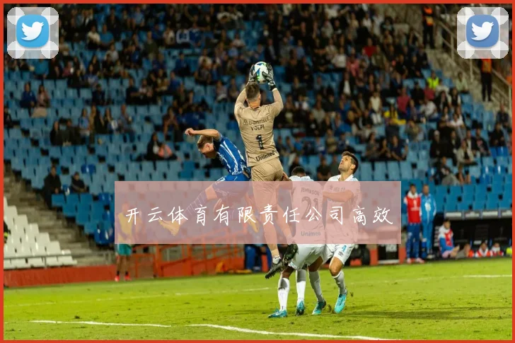 开云体育有限责任公司高效