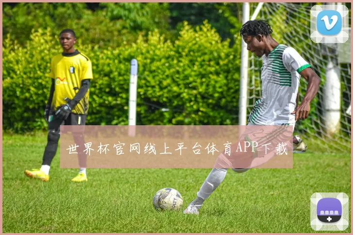 世界杯官网线上平台体育APP下载