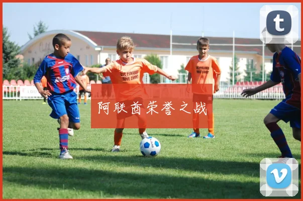 阿联酋荣誉之战