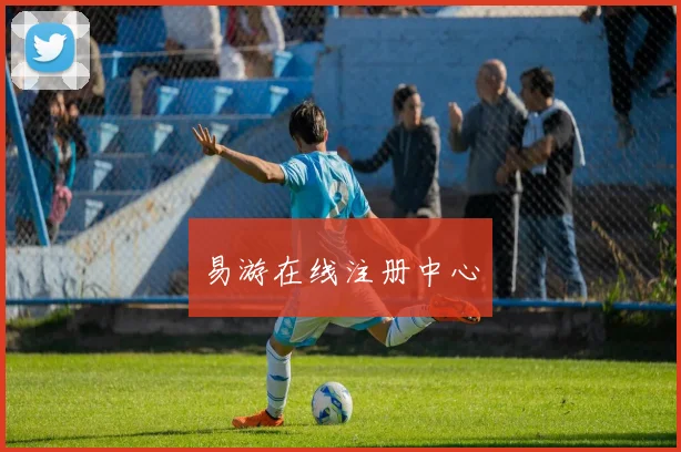 易游在线注册中心