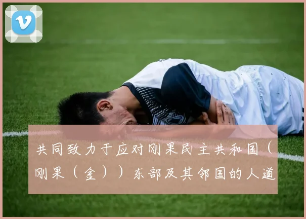 共同致力于应对刚果民主共和国（刚果（金））东部及其邻国的人道主义紧急情况