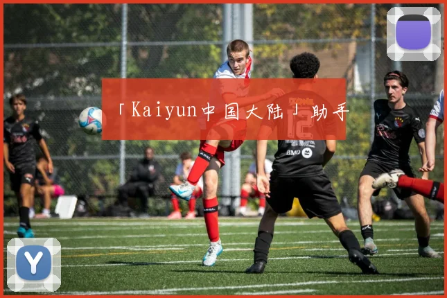 「Kaiyun中国大陆」助手