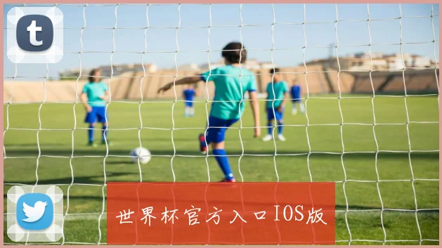世界杯官方入口IOS版