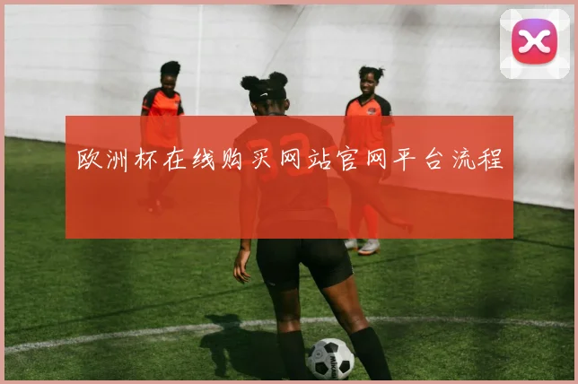欧洲杯在线购买网站官网平台流程
