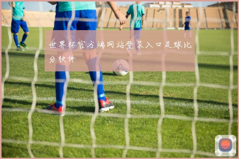 世界杯官方端网站登录入口足球比分软件