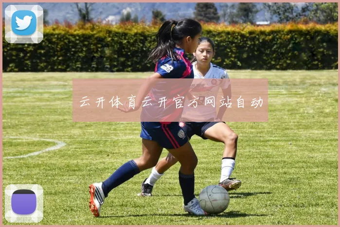 云开体育云开官方网站自动