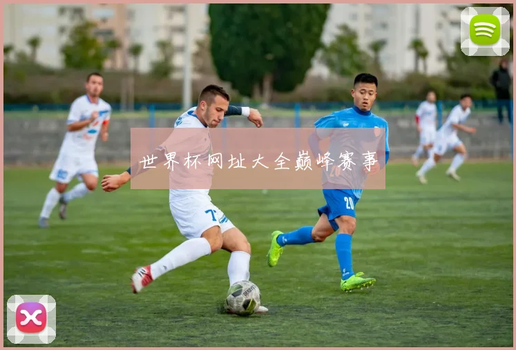 世界杯网址大全巅峰赛事