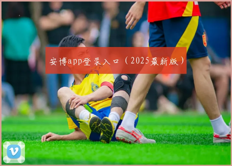 安博app登录入口（2025最新版）