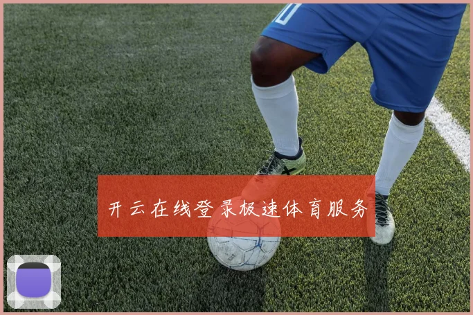 开云在线登录极速体育服务
