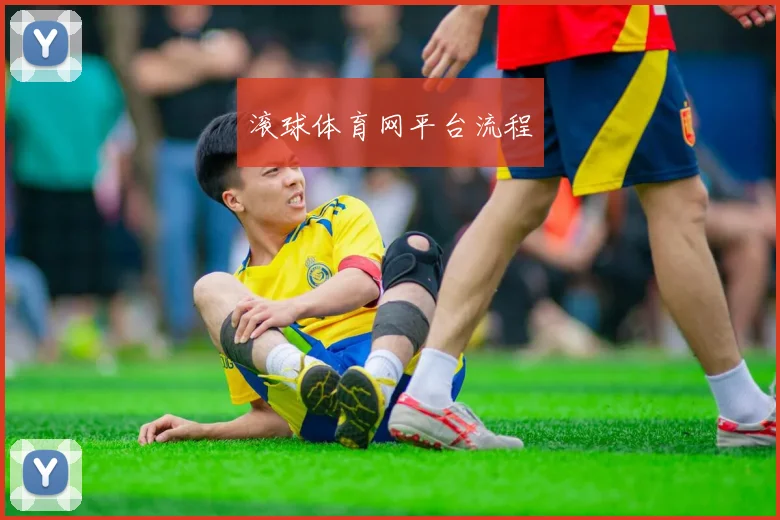 滚球体育网平台流程