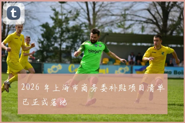 2026 年上海市商务委补贴项目清单已正式落地