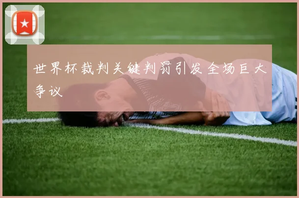世界杯裁判关键判罚引发全场巨大争议