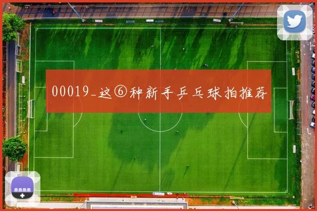 00019_这⑥种新手乒乓球拍推荐