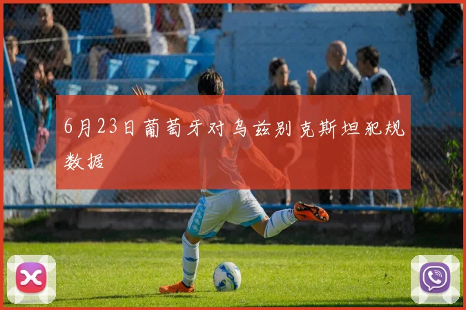 6月23日葡萄牙对乌兹别克斯坦犯规数据