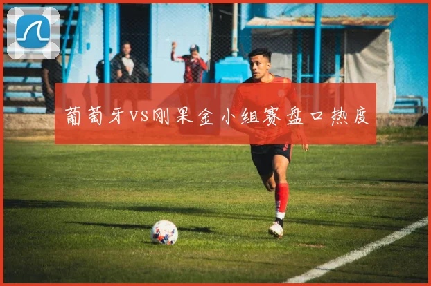 葡萄牙vs刚果金小组赛盘口热度