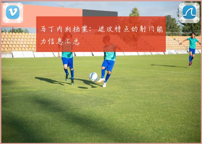马丁内利档案:进攻特点的射门能力信息汇总