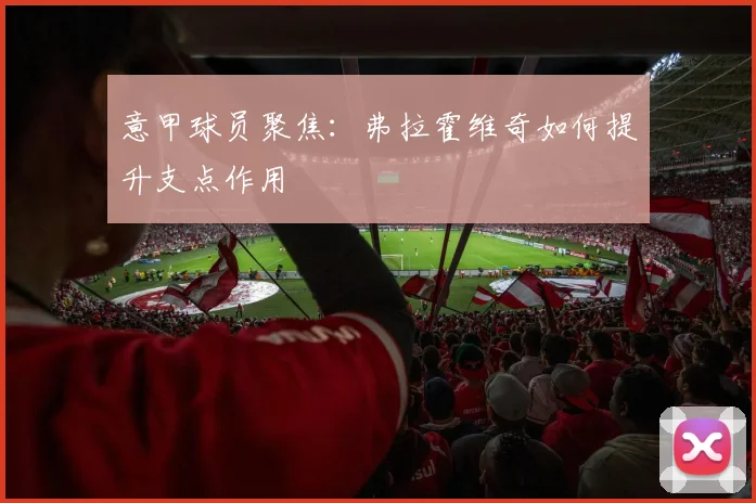 意甲球员聚焦:弗拉霍维奇如何提升支点作用