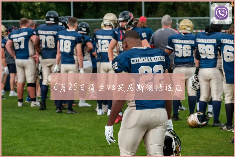 6月25日荷兰vs突尼斯场地适应