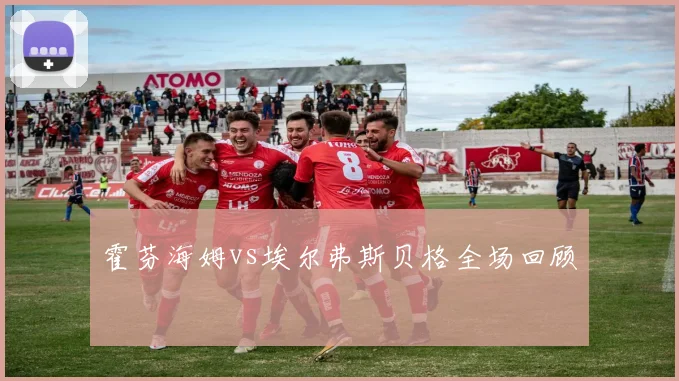 霍芬海姆vs埃尔弗斯贝格全场回顾
