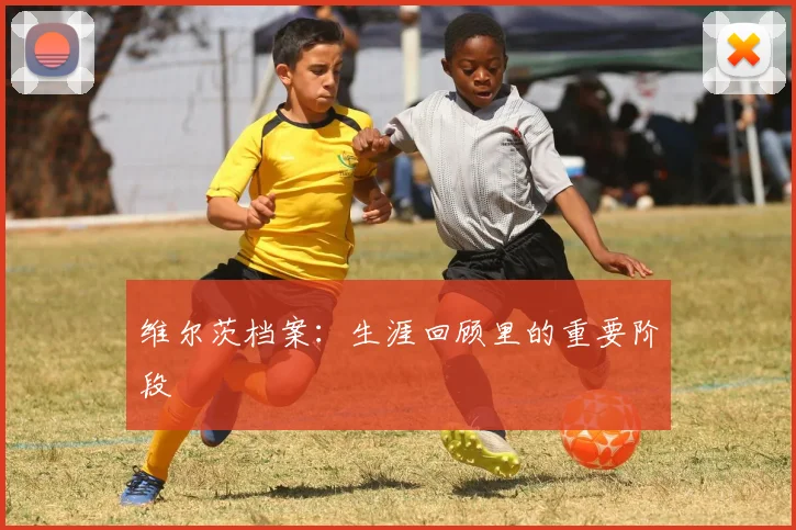 维尔茨档案：生涯回顾里的重要阶段
