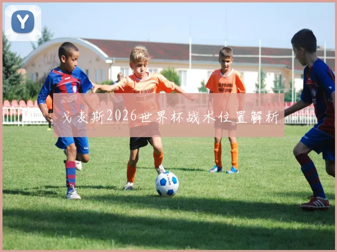 戈麦斯2026世界杯战术位置解析