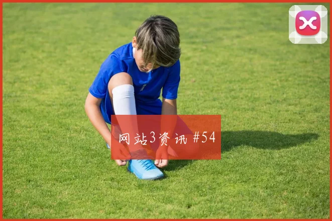 阿根廷阿尔及利亚小组赛裁判尺度